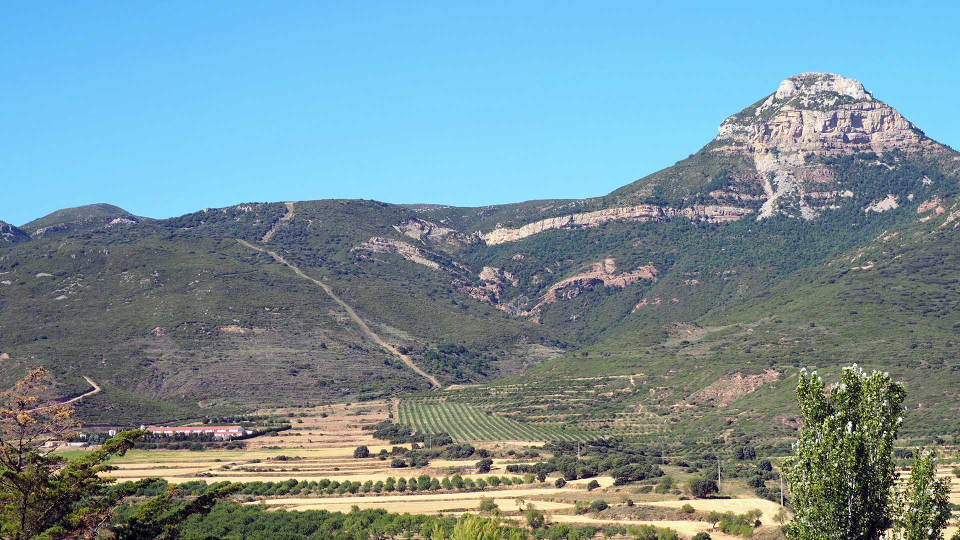 Vista del Gratal (1.563m) desde Puibolea. Este pico es un emblema en la comarca de la Hoya de Huesca y su figura es utilizada como símbolo frente a la ganadería industrial. En primer plano puede verse una explotación de porcino