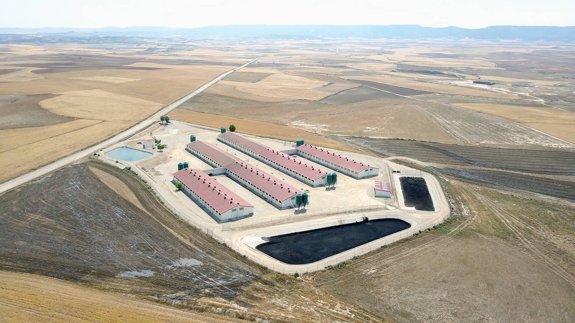 Imagen tomada de una explotación de porcino industrial en Tauste (Zaragoza) el 2 de junio de 2022 donde se observa que unas horas antes habían abonado con purines los terrenos pegados a la explotación.